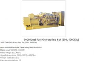 3000 dual-fuel generating sets 800，1000kw